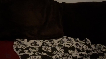 Lionboy76  13-11-2021 video Gay